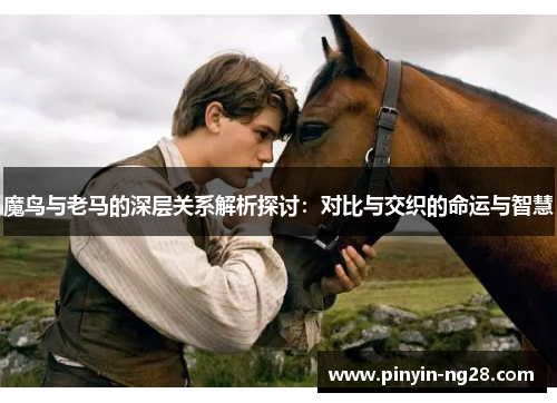 魔鸟与老马的深层关系解析探讨：对比与交织的命运与智慧