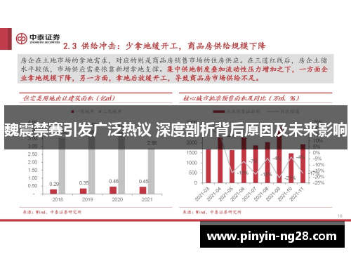 魏震禁赛引发广泛热议 深度剖析背后原因及未来影响