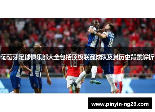 葡萄牙足球俱乐部大全包括顶级联赛球队及其历史背景解析