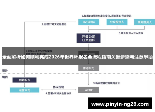 全面解析如何顺利完成2026年世界杯报名全流程指南关键步骤与注意事项