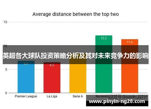 英超各大球队投资策略分析及其对未来竞争力的影响